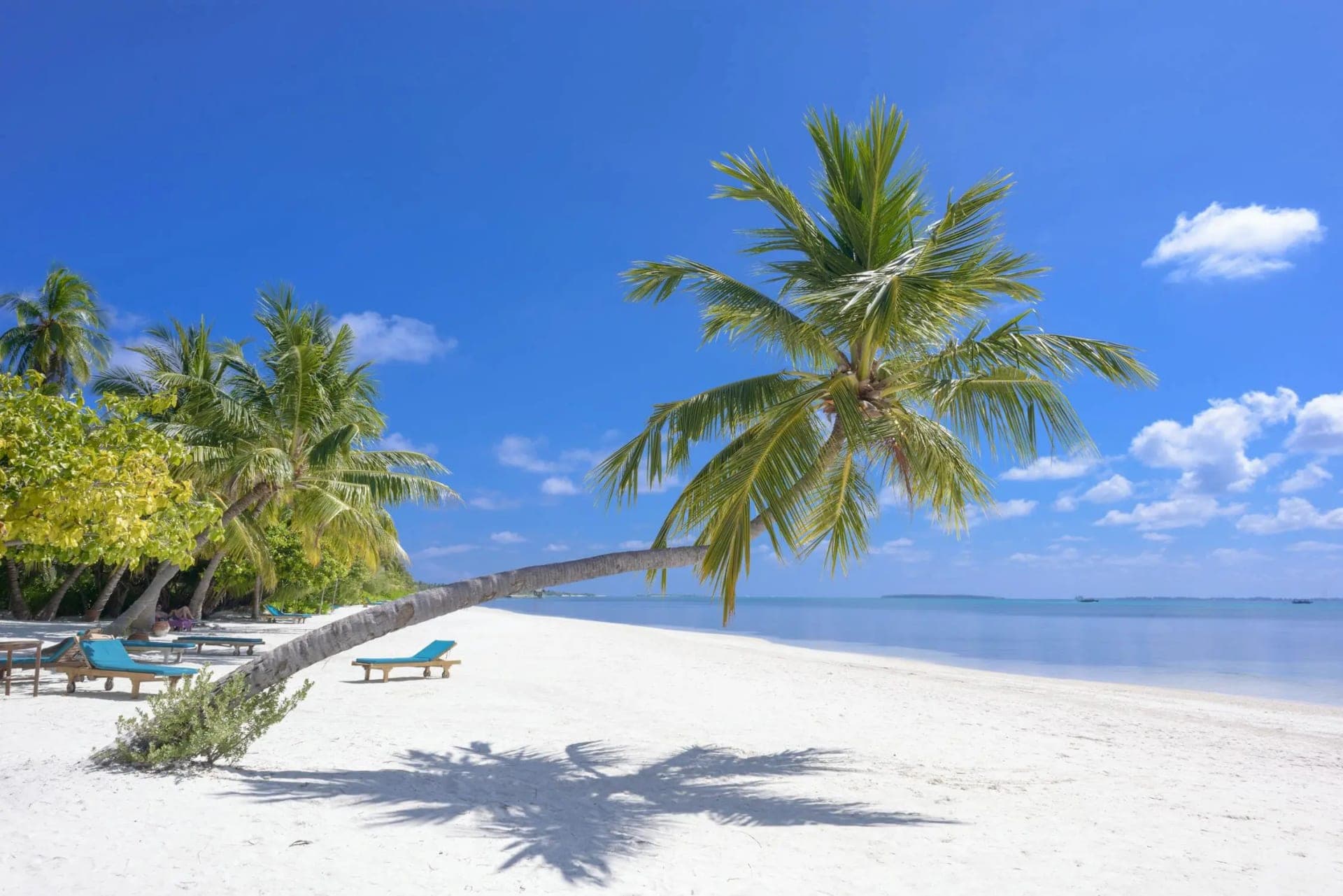Crystal clear turquoise waters of Zanzibar, Tanzania