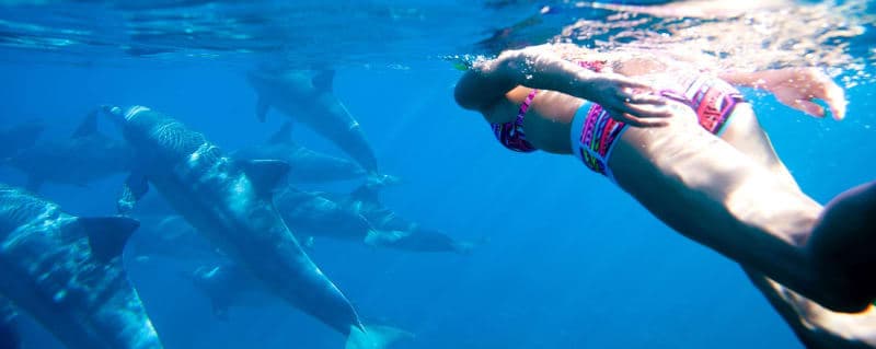 Tourist enjoying Mnemba Island Dolphin & Snorkeling Tour in Zanzibar - Water & Marine tour experience