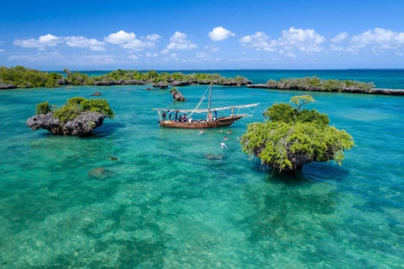 Safari blue Zanzibar beach palm trees tropical