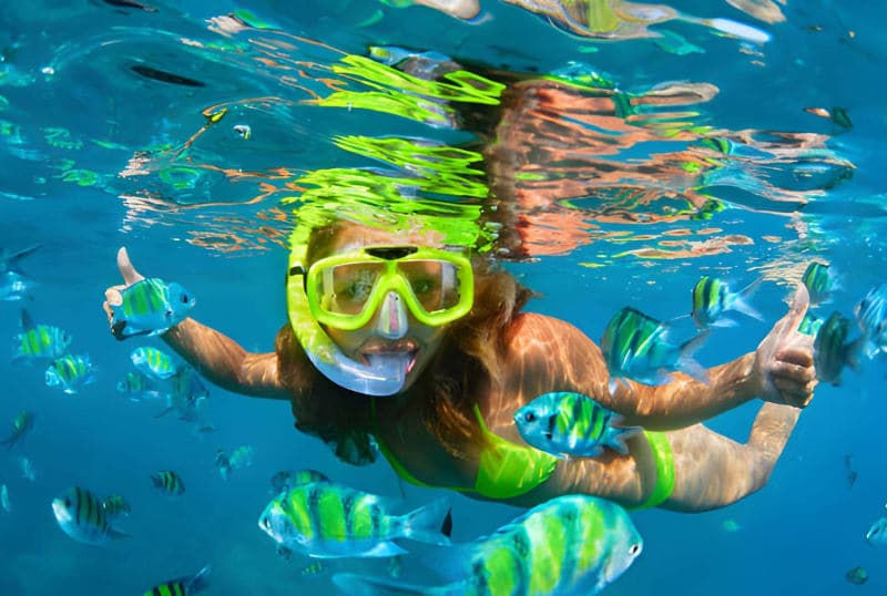 Tourist enjoying Mnemba Island Dolphin & Snorkeling Tour in Zanzibar - Water & Marine tour experience