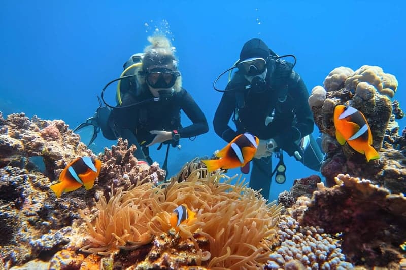 Zanzibar PADI diving snorkeling coral reef